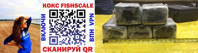 COCAIN Fish Scale  Купить где  Выкса 
